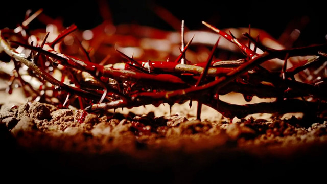 Crown Of Thorns And Nails Wallpaper Pixshark