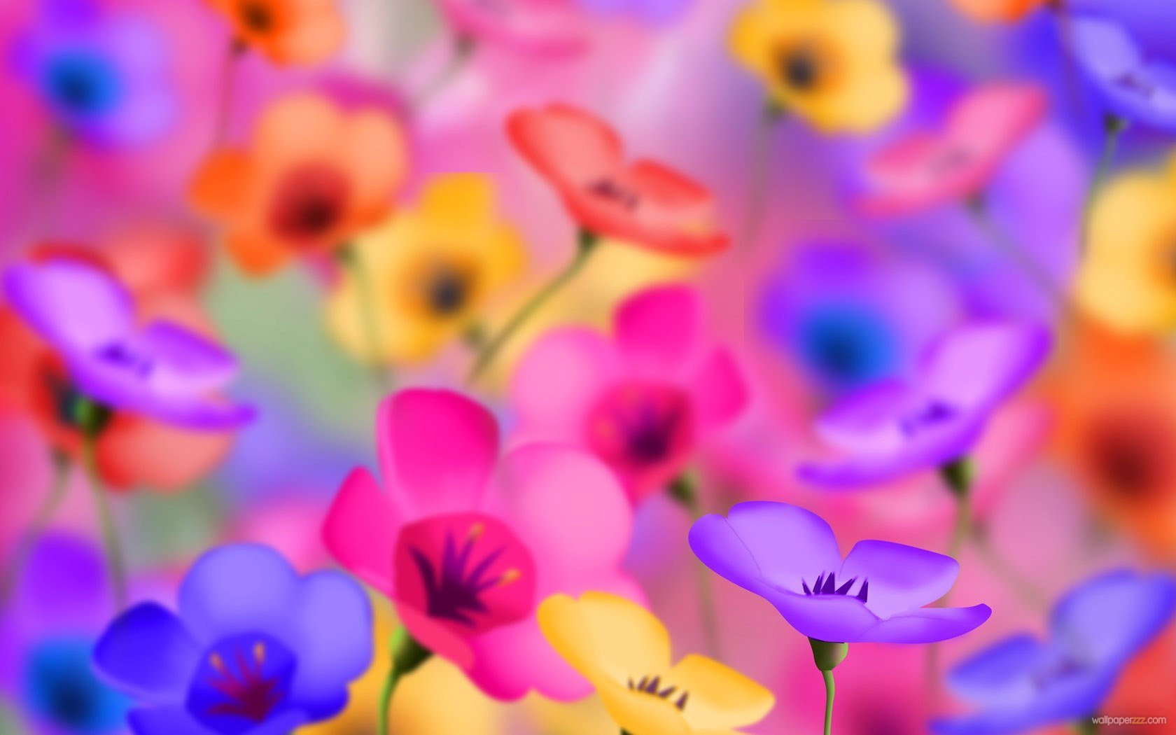 Colorful Flowers Widescreen Wallpaper