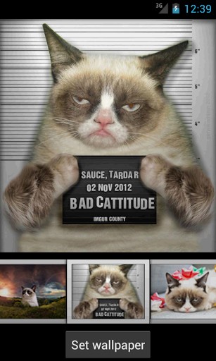 Grumpy Cat Wallpaper For Android By Ecofield Software
