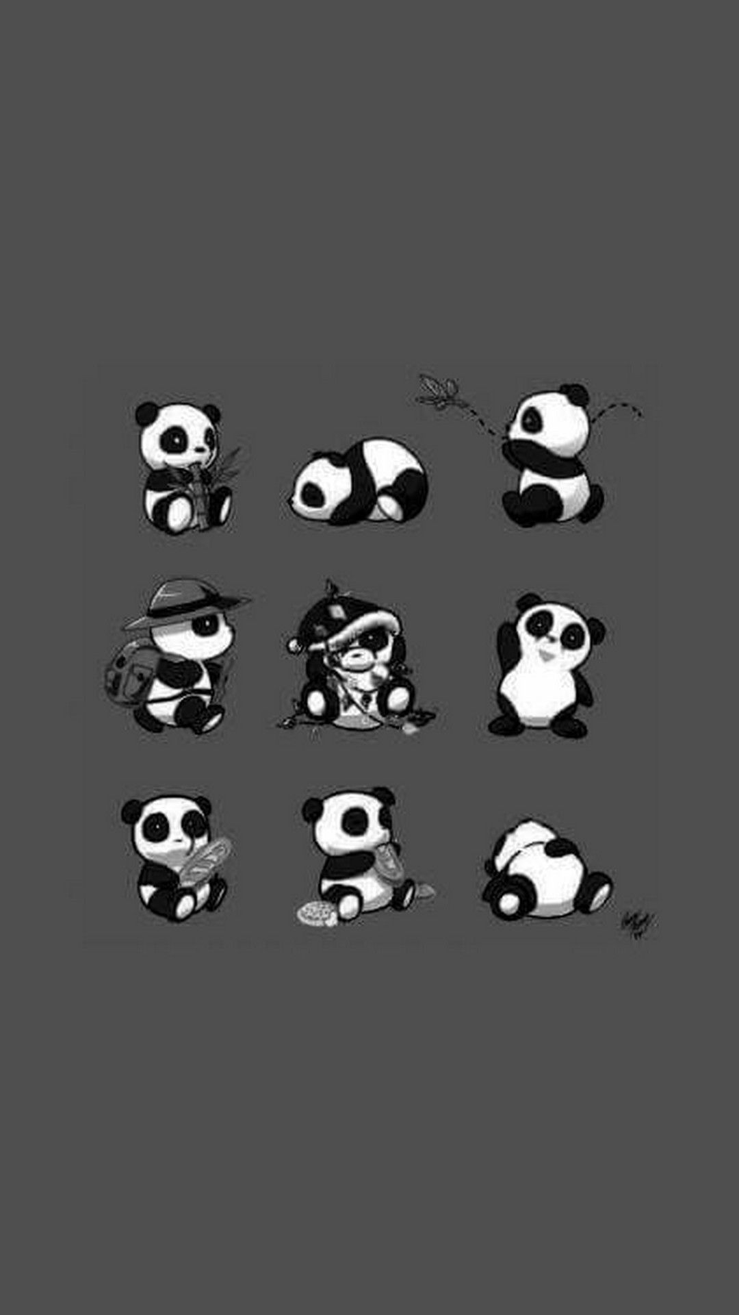 Baby Panda HD Wallpaper For Mobile Best
