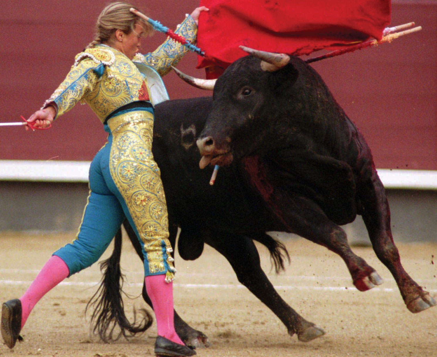 Bullfighting Bull Fighting Madrid