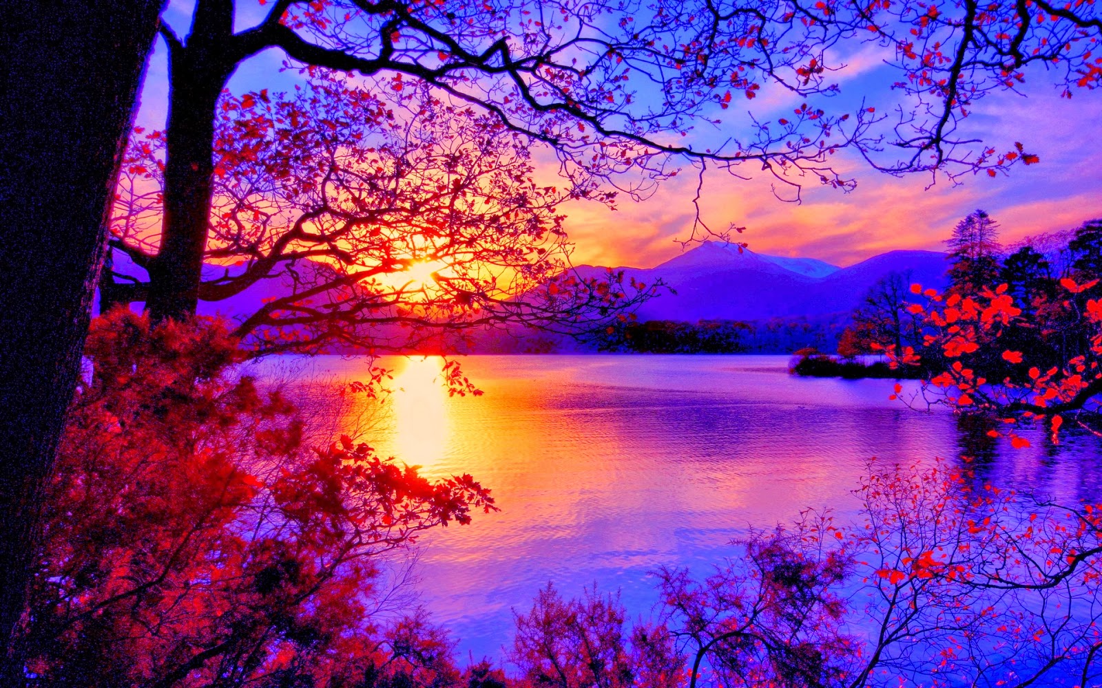 Beautiful Scenery Wallpaper HD