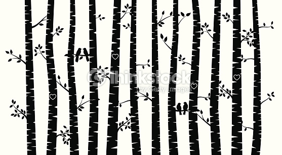  Black and White Vector Birch Tree Silhouette Background with Birds