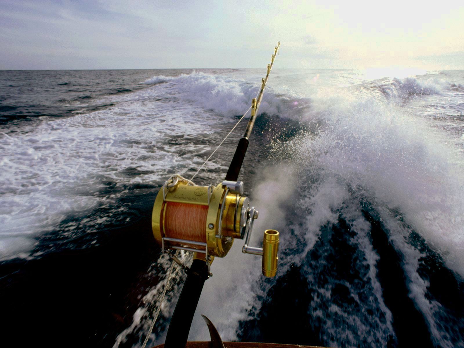 Sport Fish Wallpaper Top Background