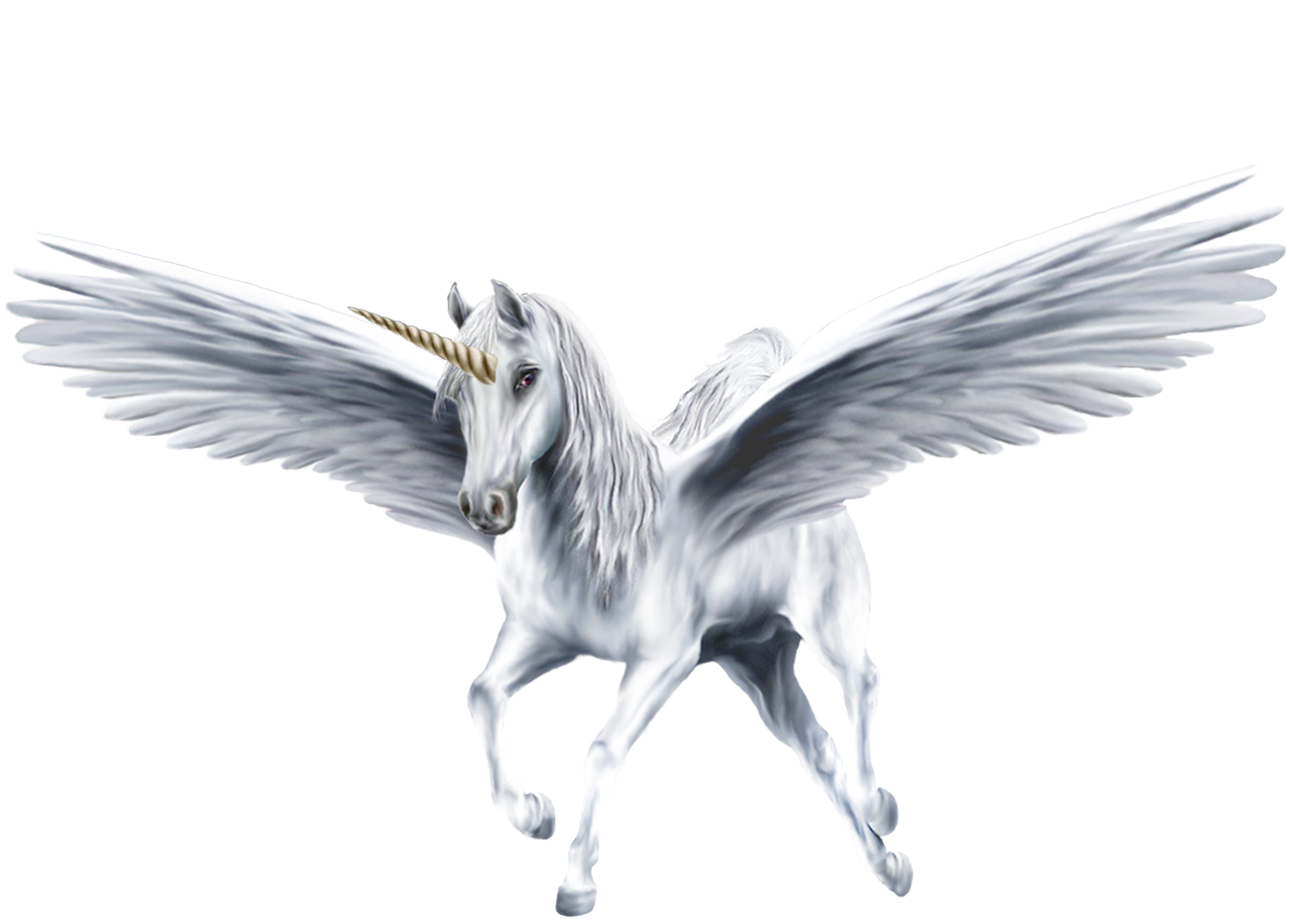 An Beautiful White Winged Unicorn Unicorns Fan Art