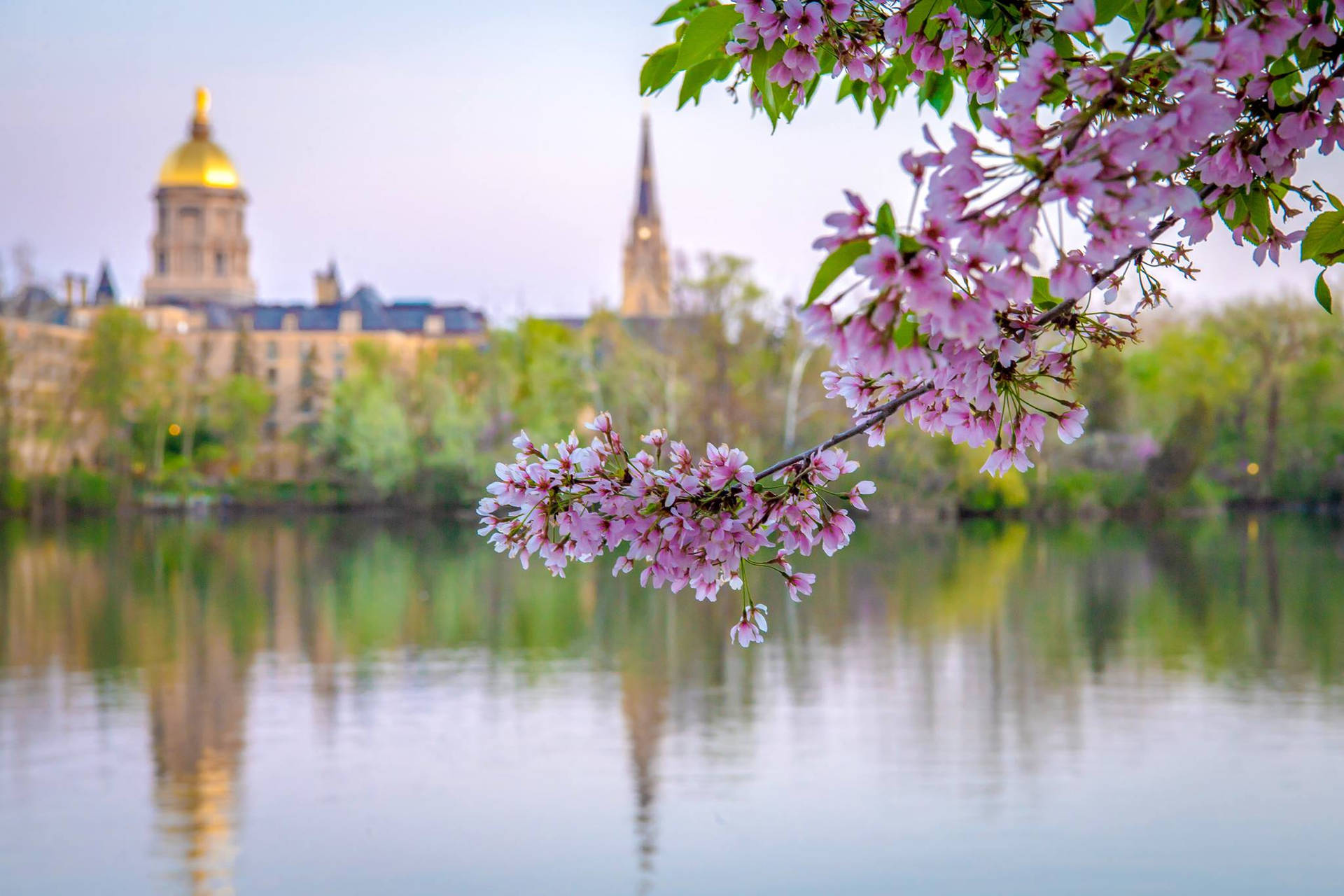 University Of Notre Dame Wallpaper