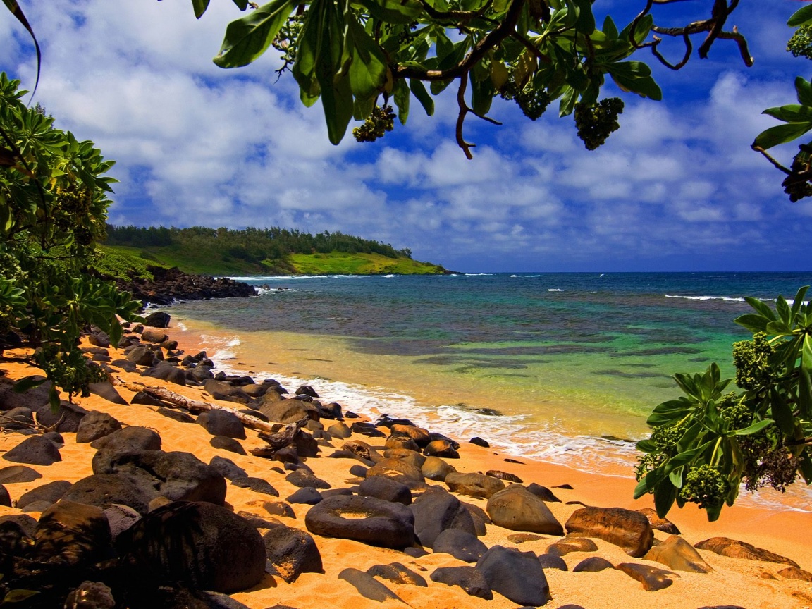 Beach Shade Hawaii Wallpaper HD