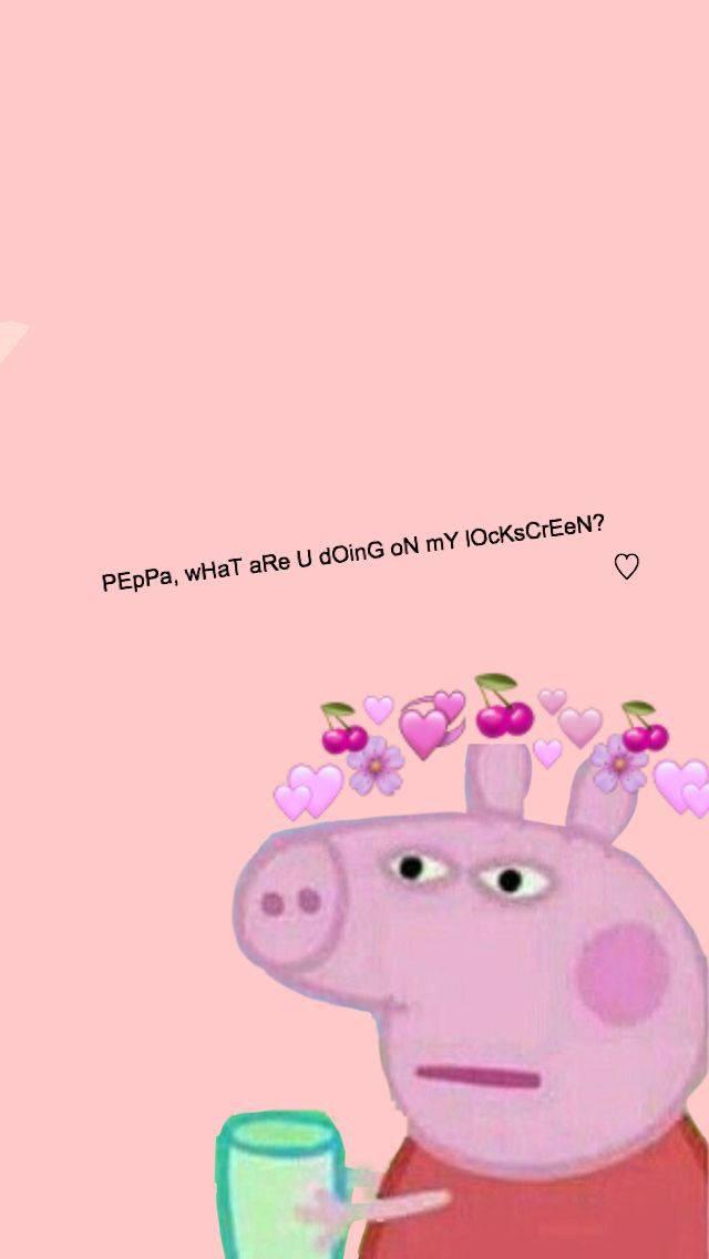 Meme Phone Wallpaper