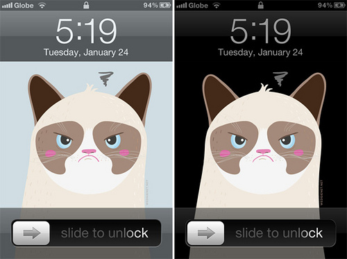  the Grumpy Cat iPhone and Galaxy SIII wallpaper WEDGIENETNET