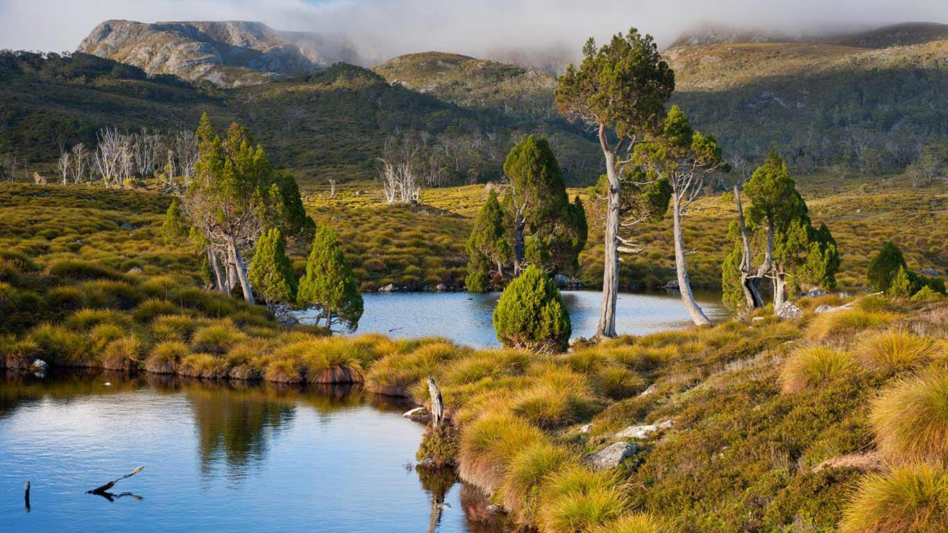 Mountain Tarns Ringed With Pencil Pines On Cradle Lake St