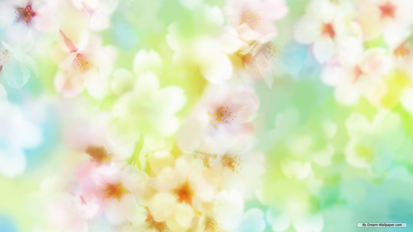 Flower Wallpaper Best HD