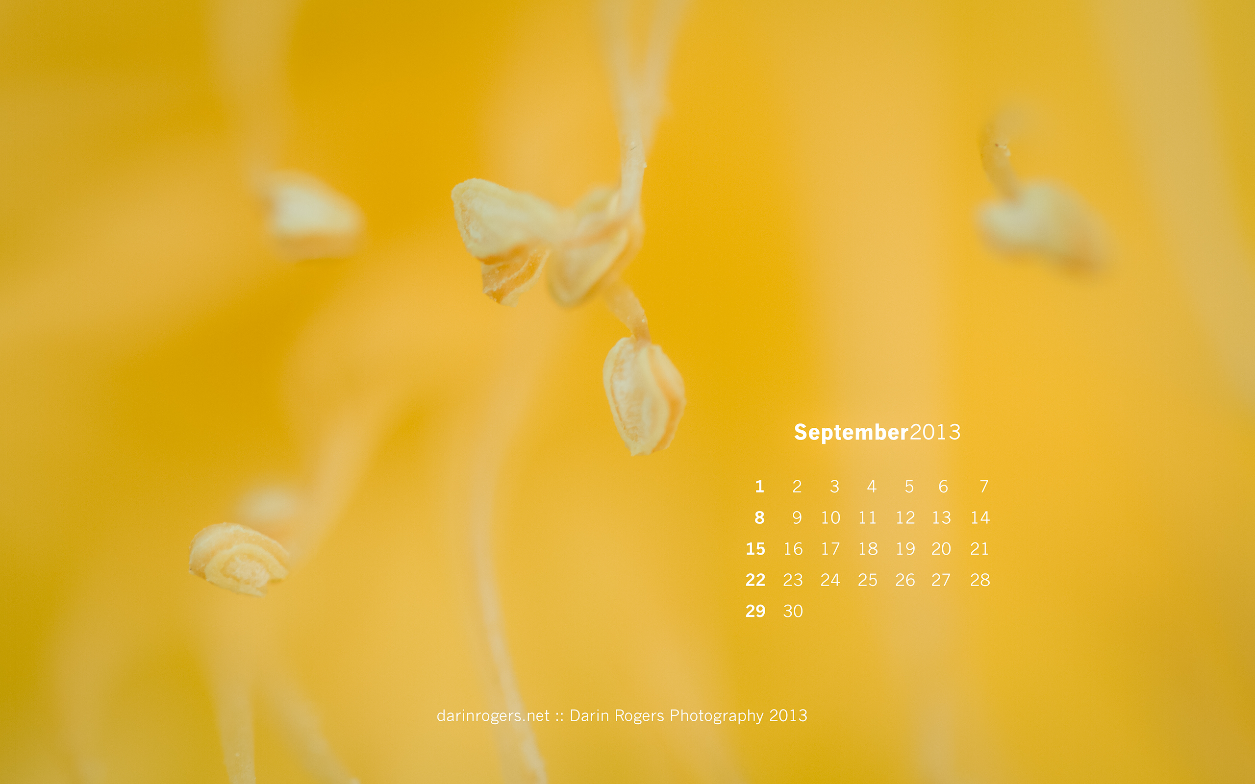 September 2013 Desktop Wallpaper Darin Rogers Photography   Blog 2560x1600