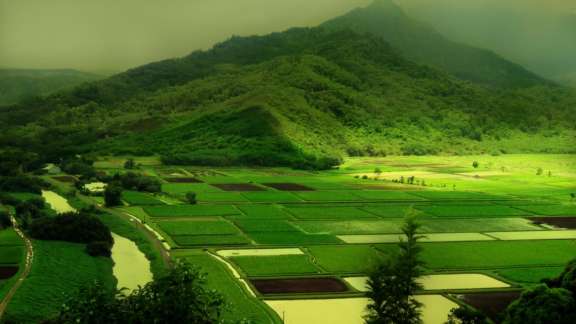 Details more than 139 green landscape wallpaper super hot - xkldase.edu.vn