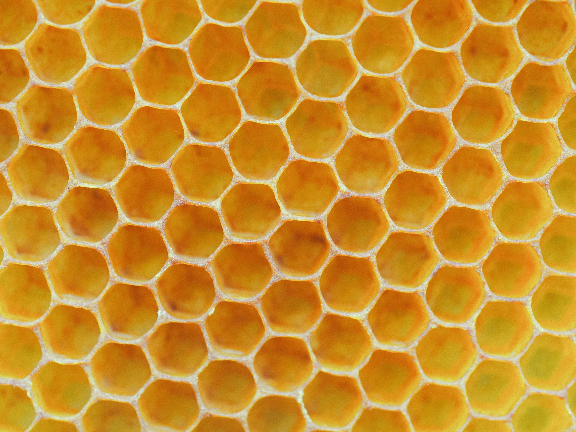 Honeycomb Wallpaper