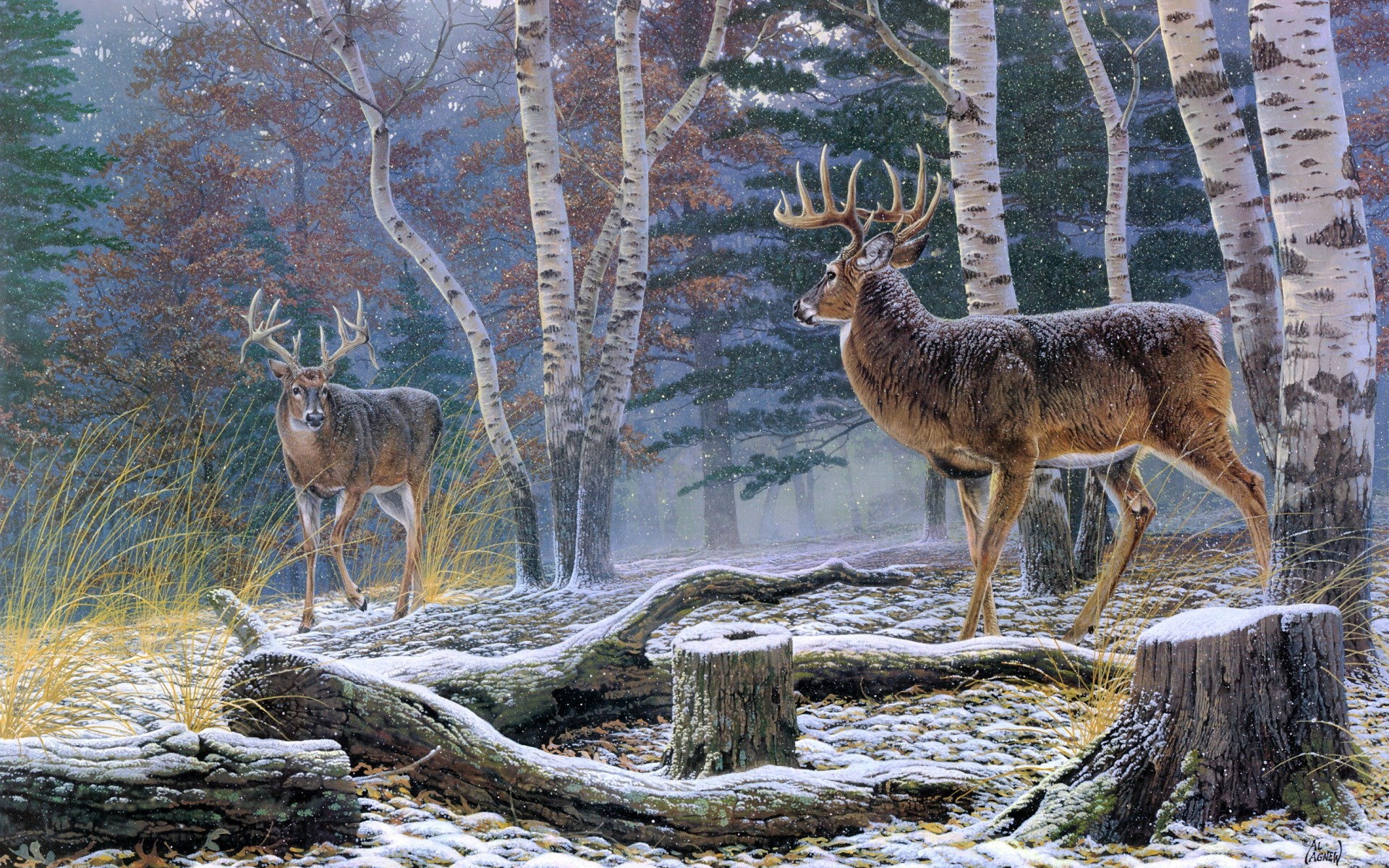 Autumn Deer Leonid Afremov HD Wallpaper Of Art Fantasy Pictures