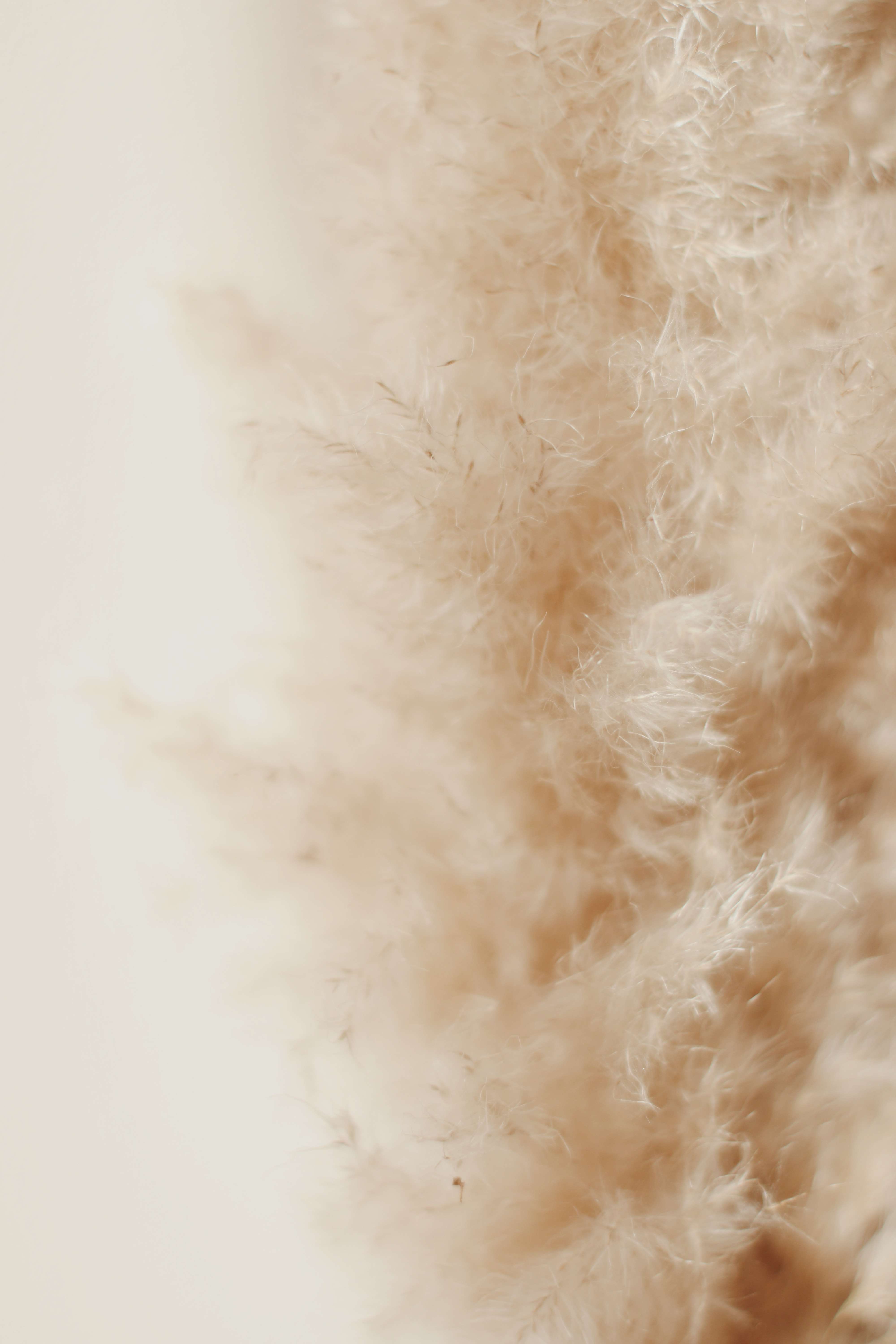 Fur Wallpaper