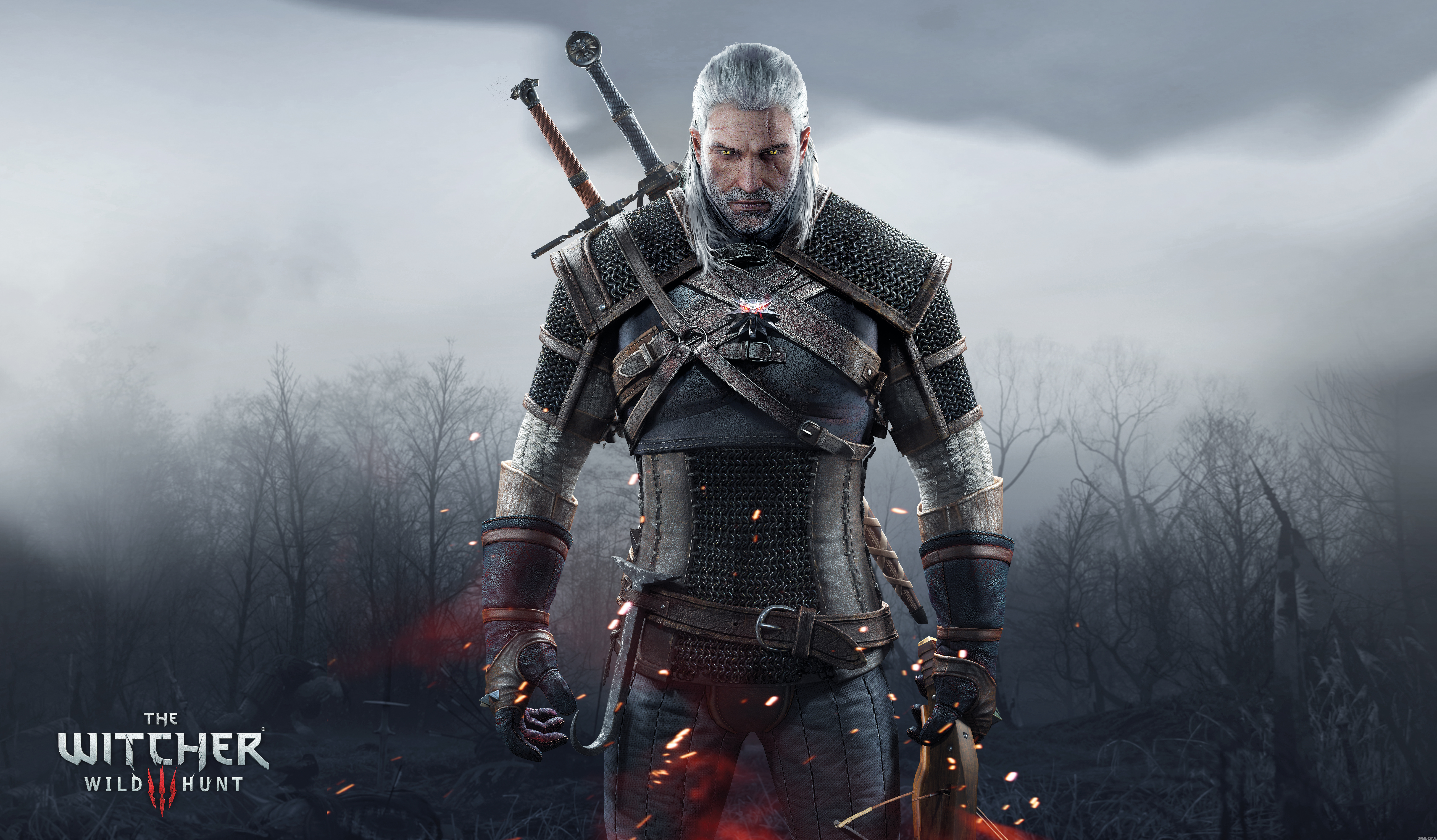 The Witcher Wild Hunt 8k Ultra HD Wallpaper