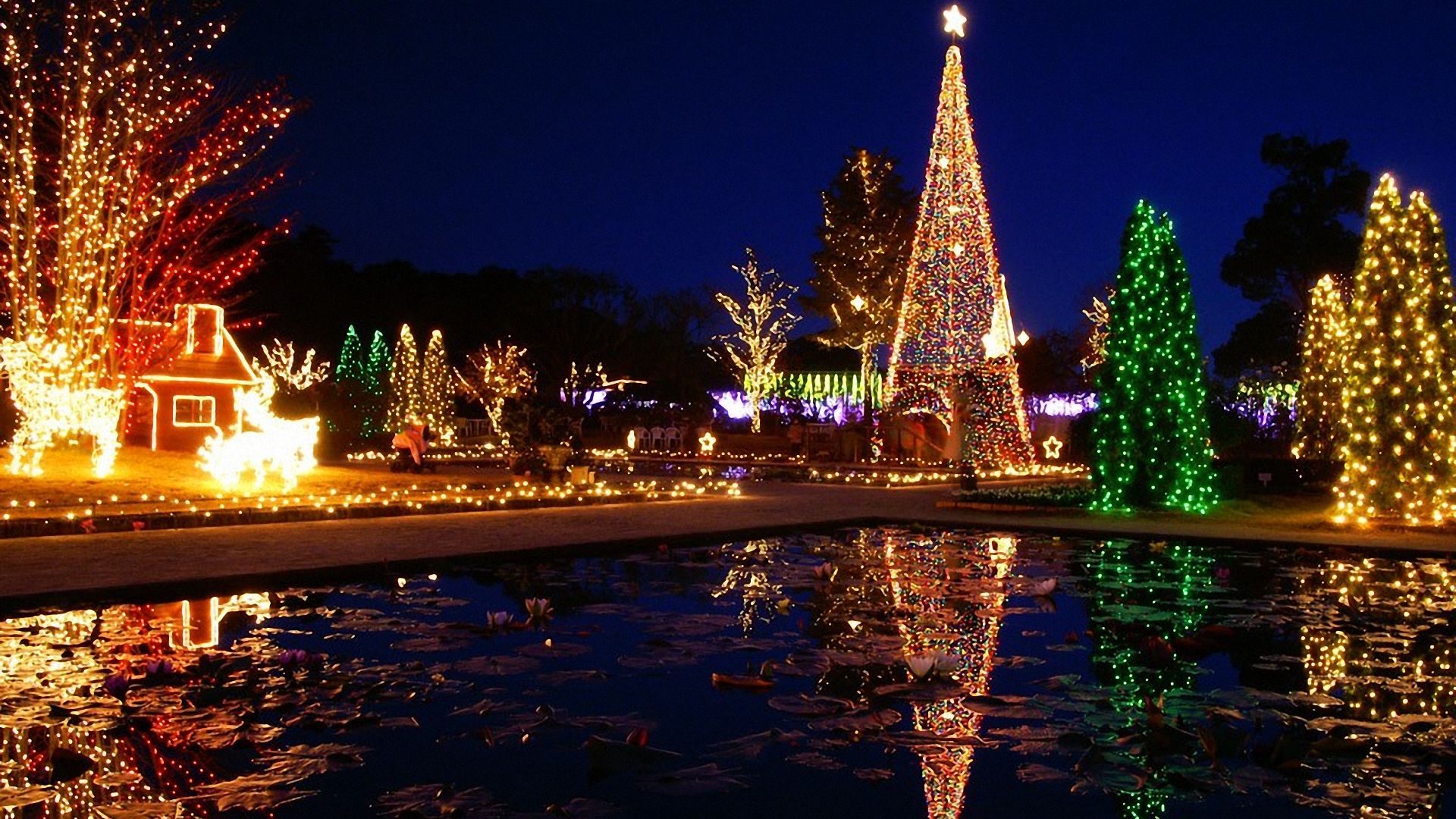 A dazzling display of Christmas lights illuminating trees, reindeer, a house, and reflecting beautifully in a pond