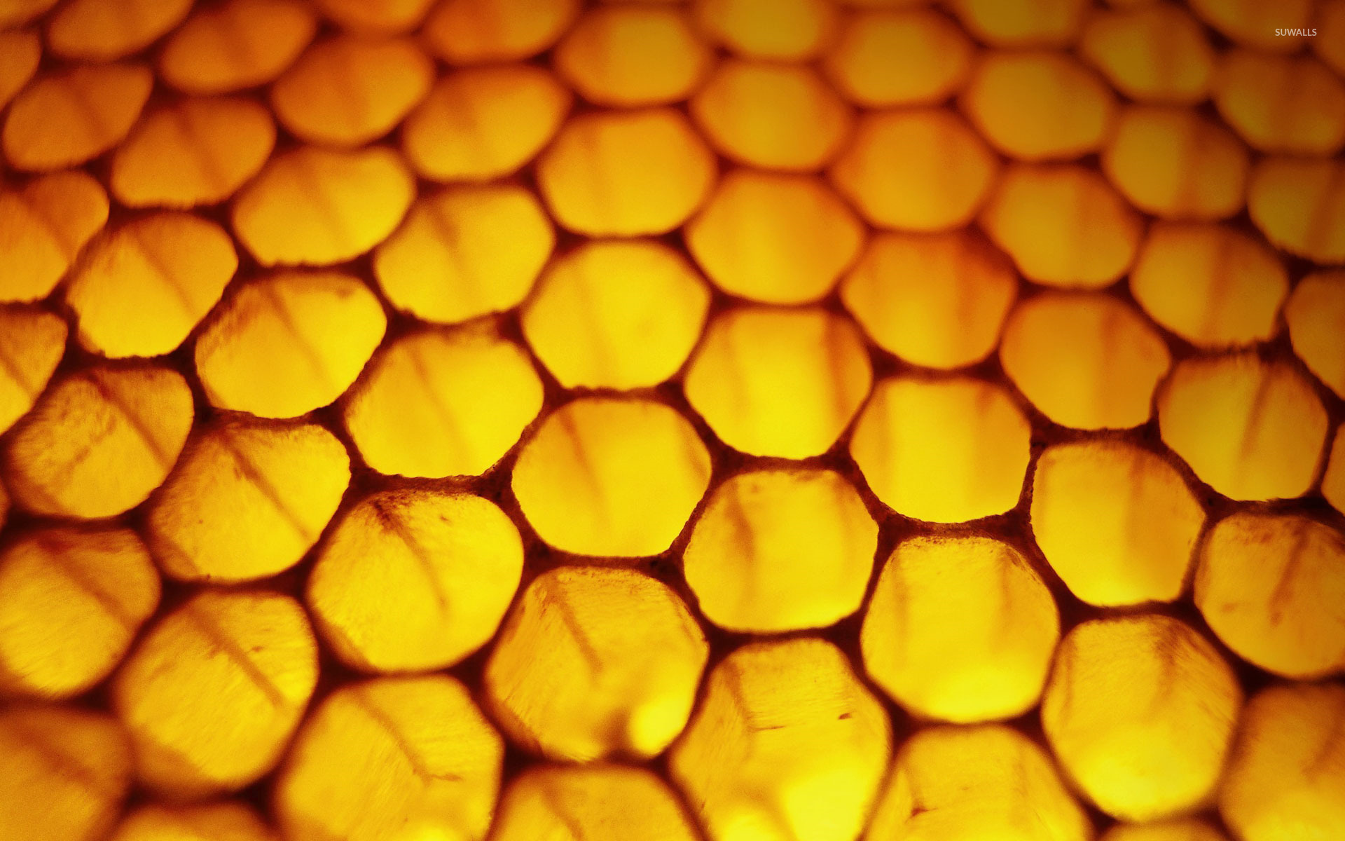 HQ Glowing red Honeycomb wallpaper (1920x1080) : r/wallpapers