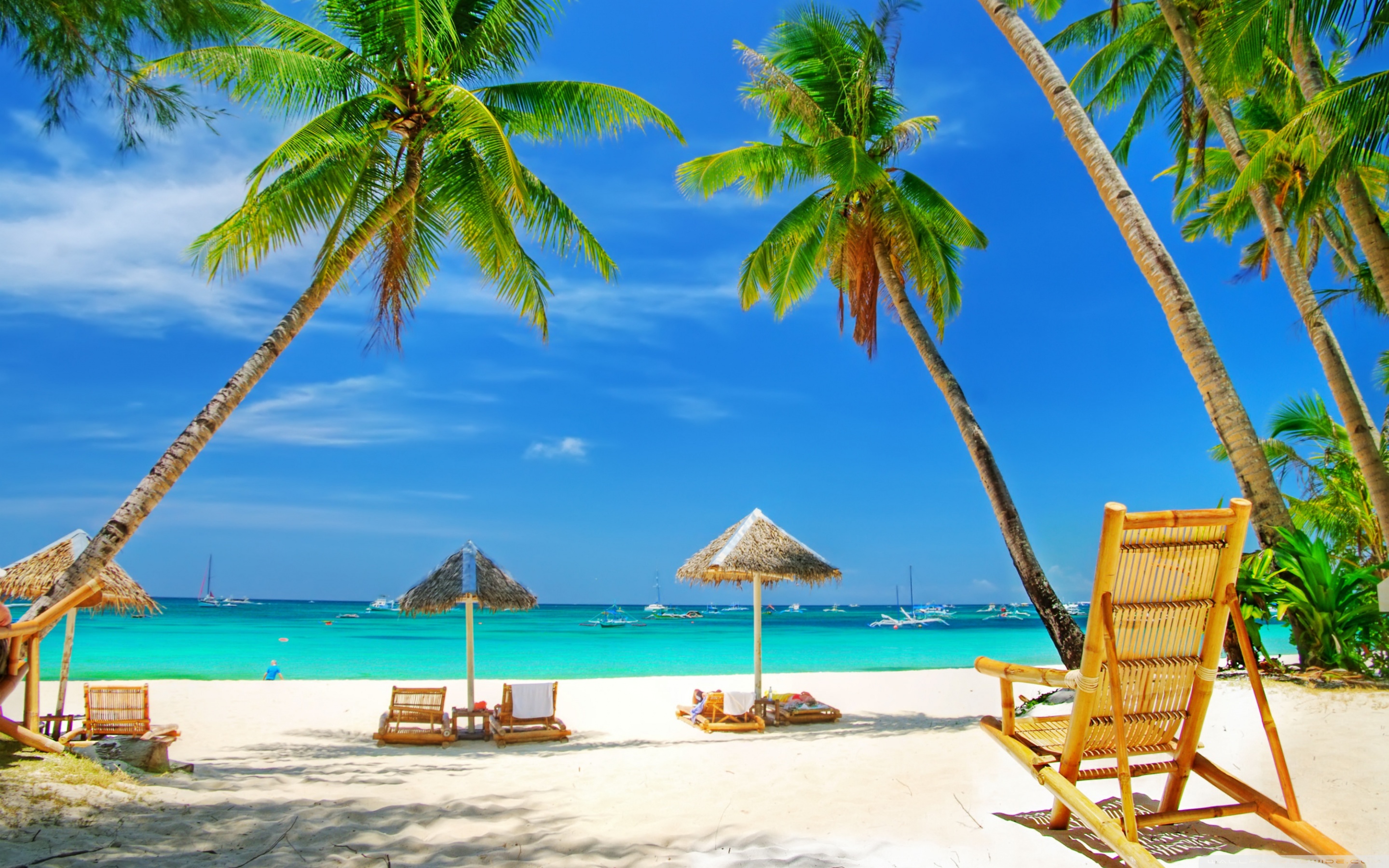 Tropical Paradise Beach 4k HD Desktop Wallpaper For Ultra