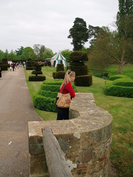 Tudor Gardens Photo