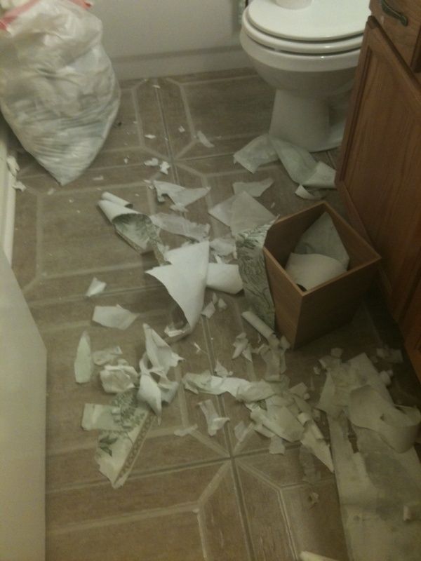 🔥 Free download Easiest way to remove wallpaper ever cup white vinegar