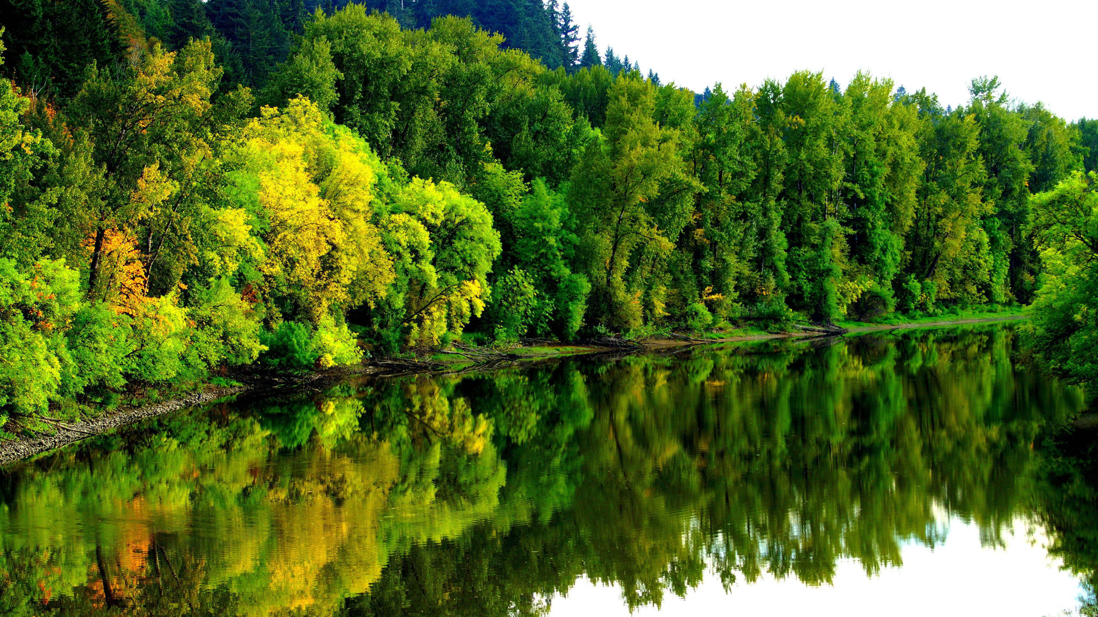 4k River Wallpaper