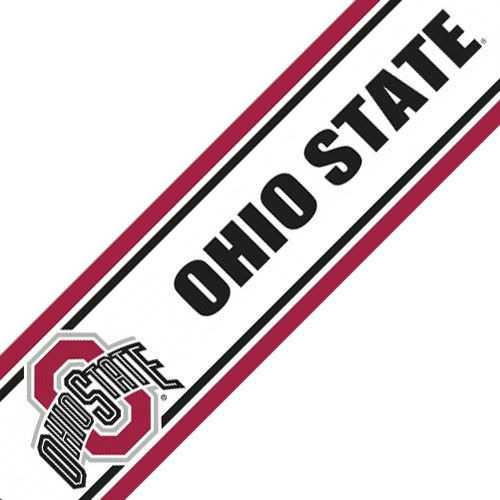 Ohio State Buckeyes Prepasted Wallpaper Border Roll Modern Wall Decals