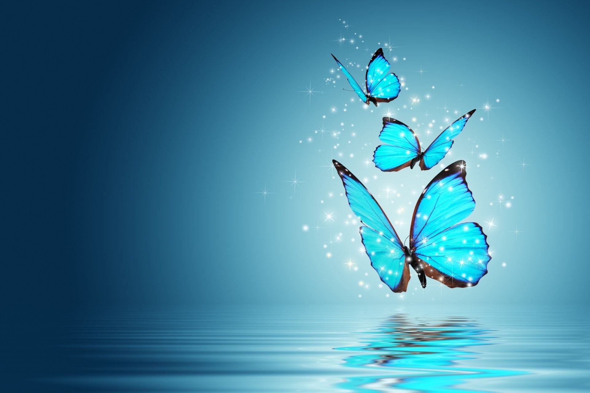 Full Screen HD Wallpaper