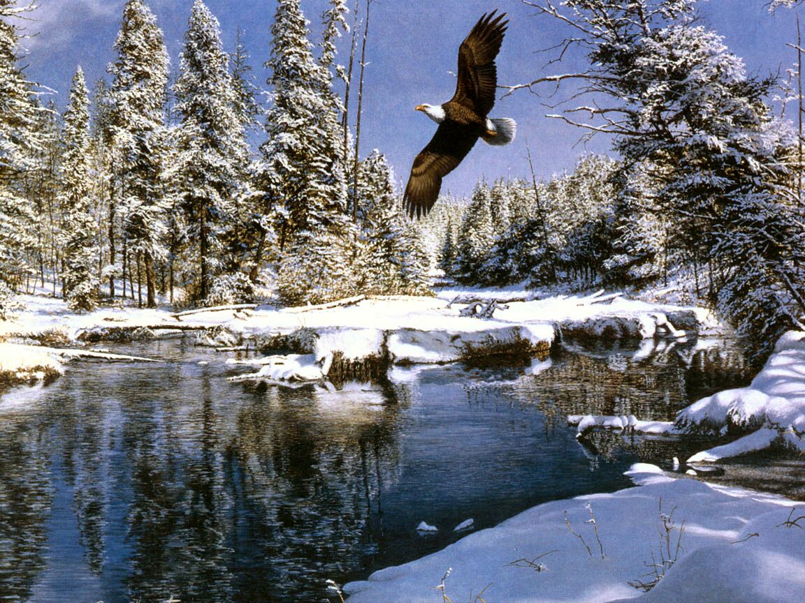 Eagle Creek Scenic Wallpaper Image Featuring Snow