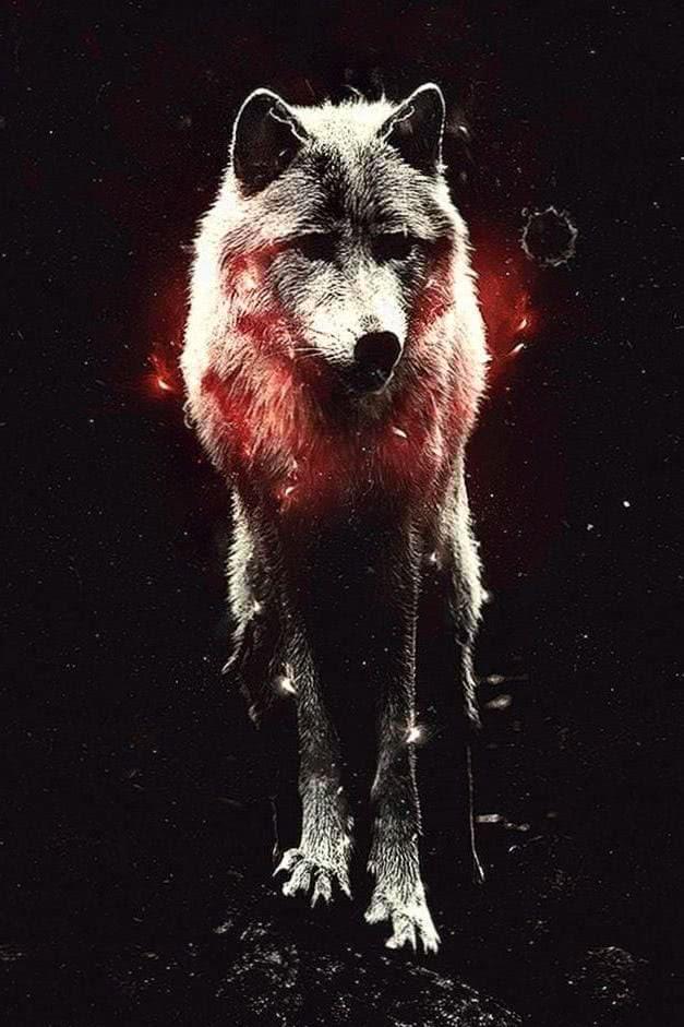 Cool Wolf iPhone Wallpaper