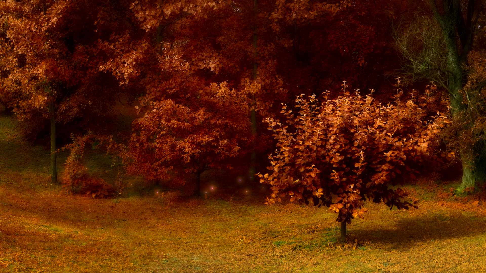 1080wallpaperHD Desktop Background Autumn Trees HD Wallpaper
