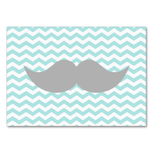 Grey Moustache Teal Chevron Zigzag Stripe Pack Of Chubby Business