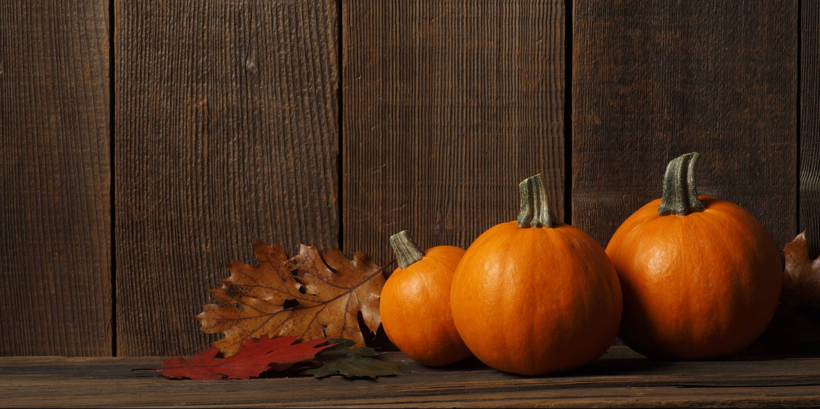 Thanksgiving Background HD Image Happy
