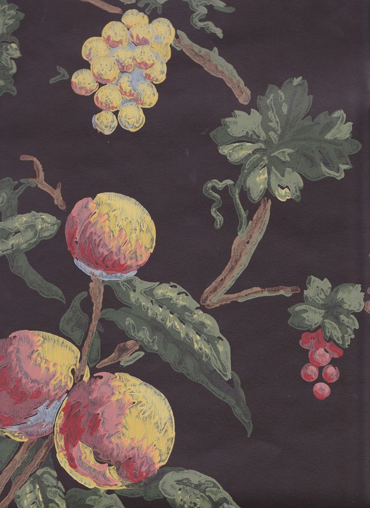 Fine Historical Reproduction Wallpaper C1800 Fruit Vine Thomas Strahan