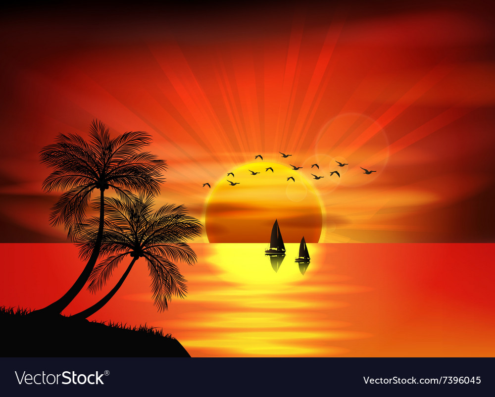 Sunset background on beach Royalty Free Vector Image