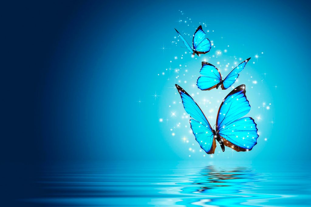 Butterfly Blue Water Magical 4k Wallpaper Best