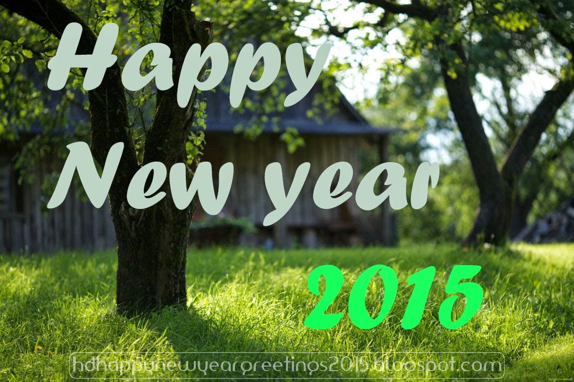 Nature Image Happy New Year Wallpaper