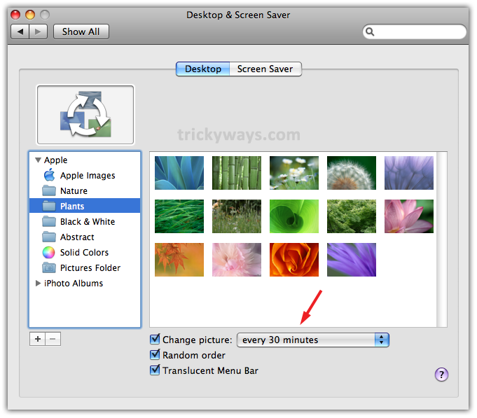 4 Ways to Stop Mac Wallpaper Changing After a Restart