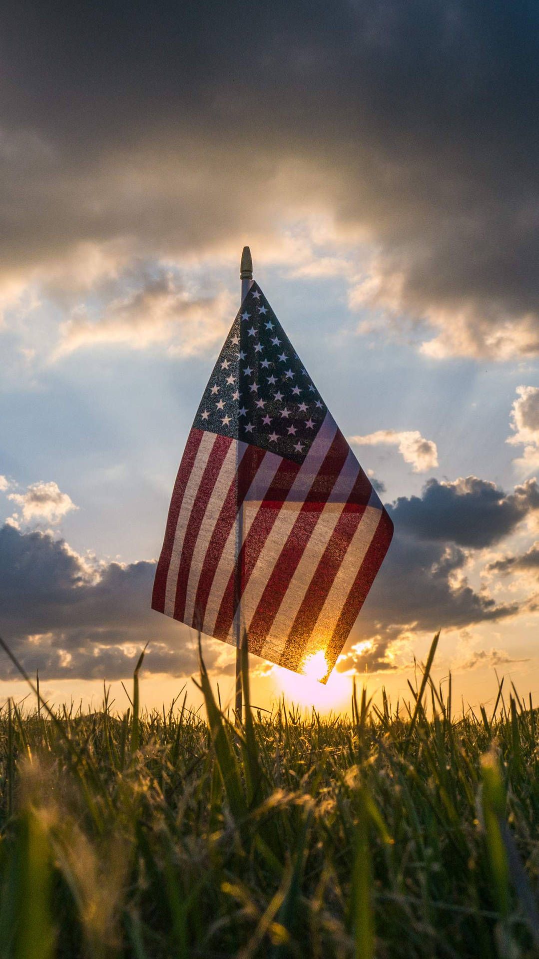 American Nature Wallpaper