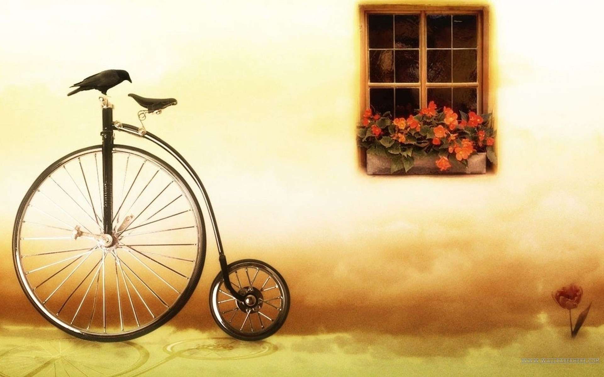 Of Special Bicycle HD Desktop Wallpaper Car