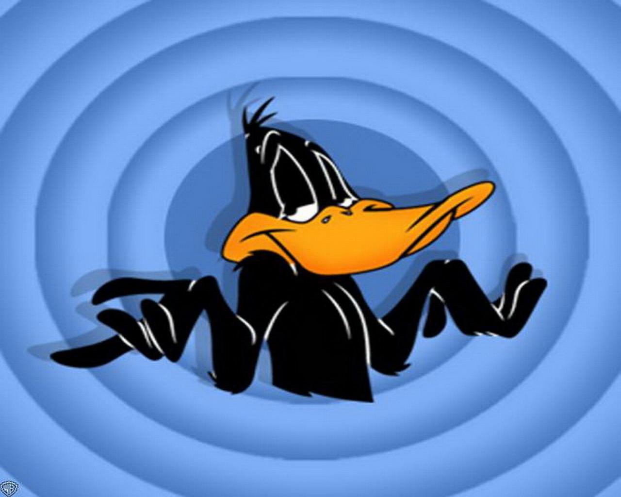 Looney Tunes Daffy Duck Is A Great Wallpaper For Your Puter