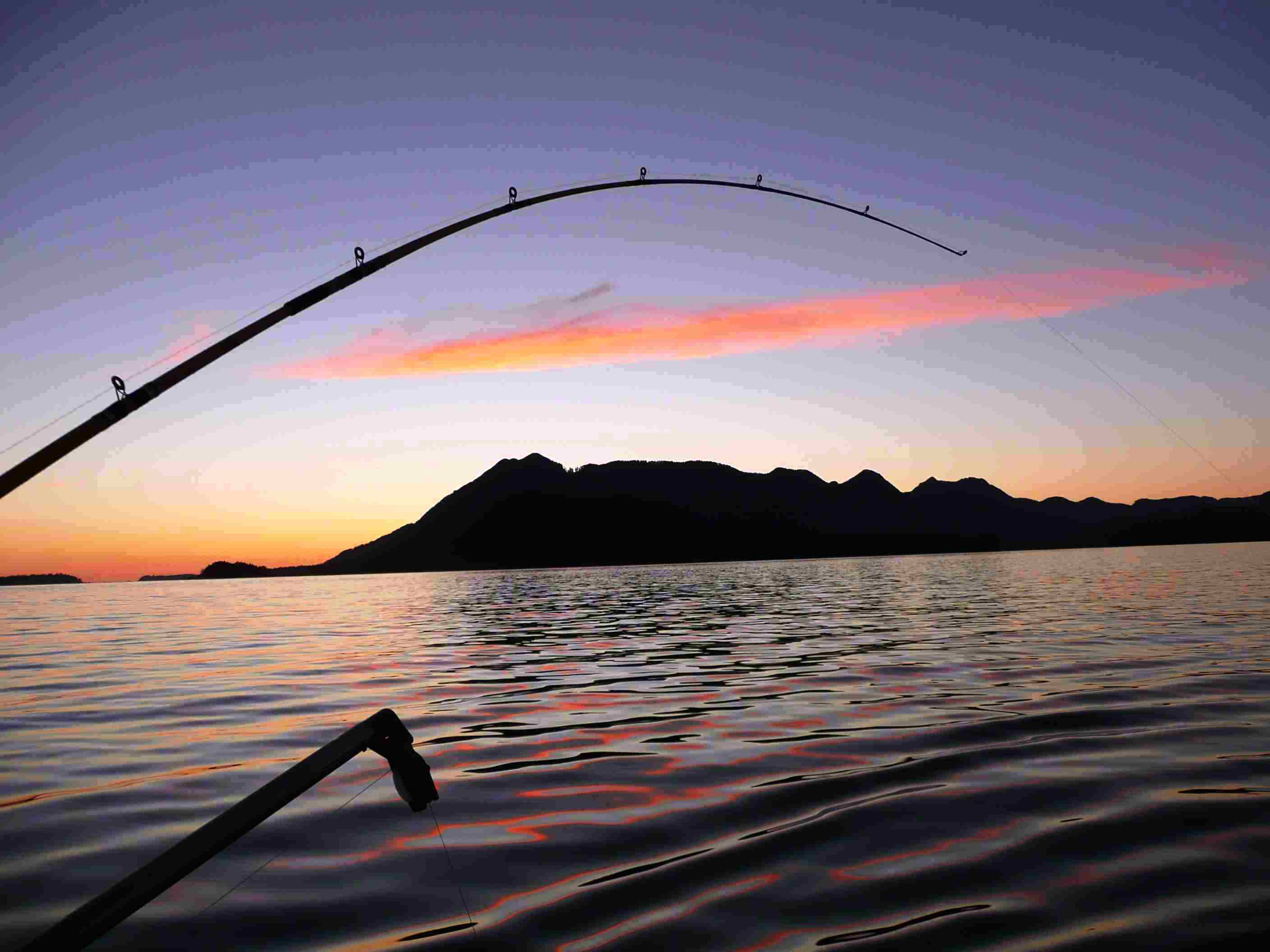 Fishing Rods In Sunset Wallpaper Picture With