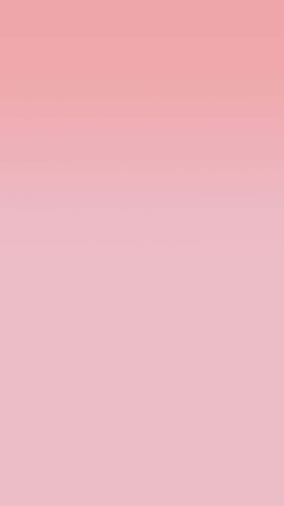 Pink Solid Color Wallpaper