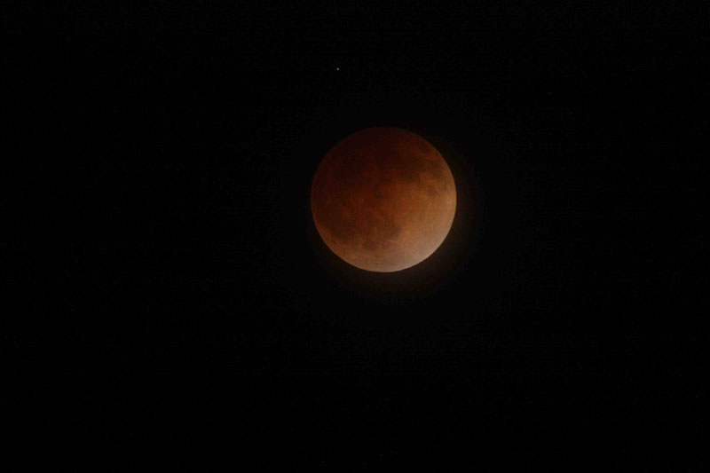 Home Photography THE BLOOD MOON 2014