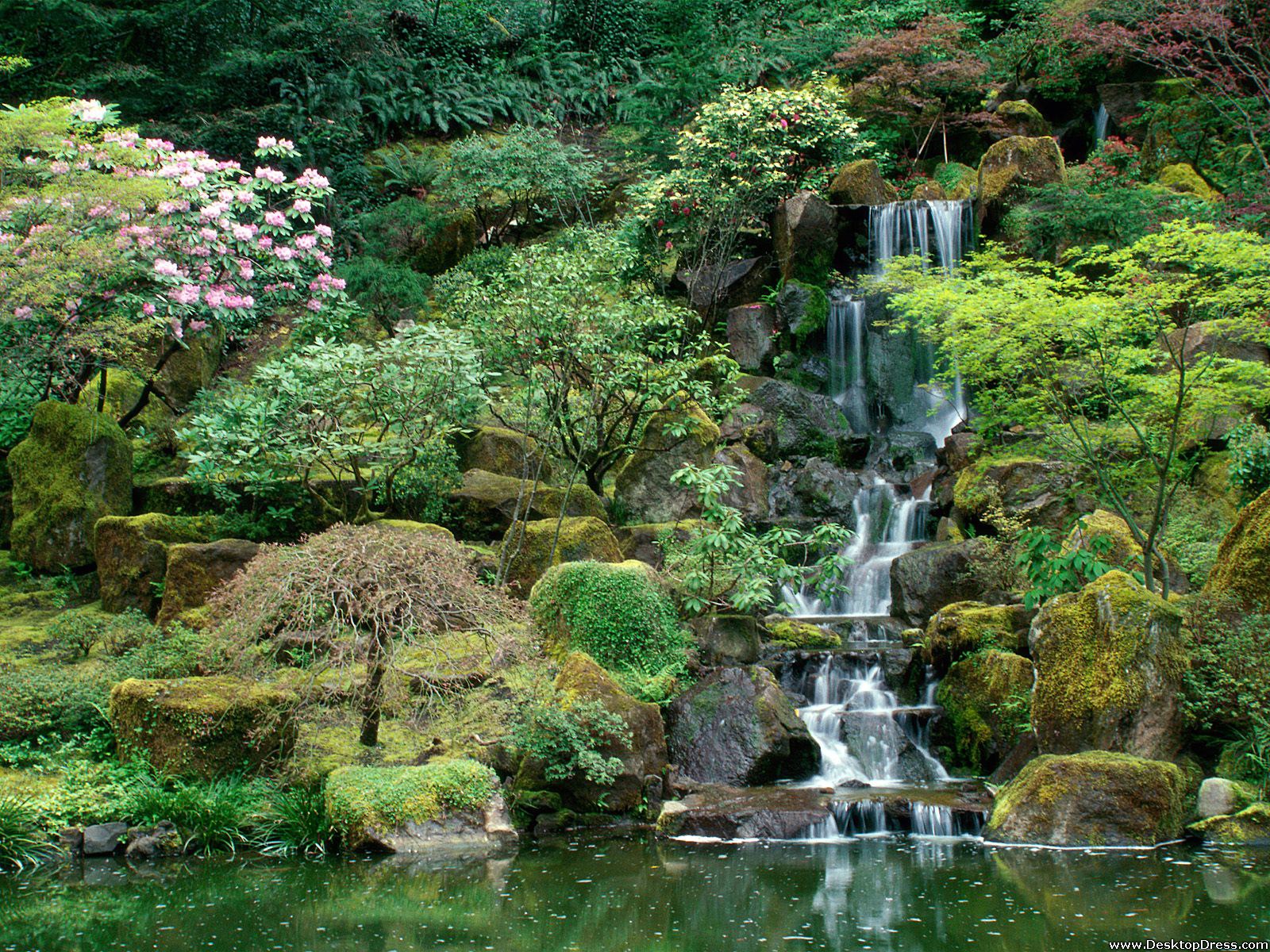 Background Japanese Gardens Portland Oregon Desktopdress