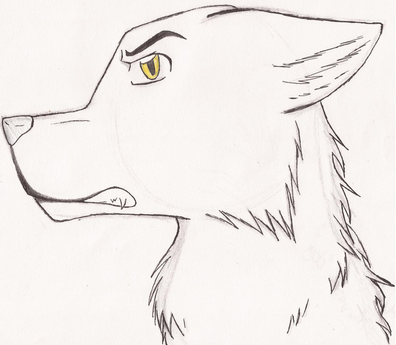 Inuyasha Dog By Sashagami12 D4xl6zf Wallpaper