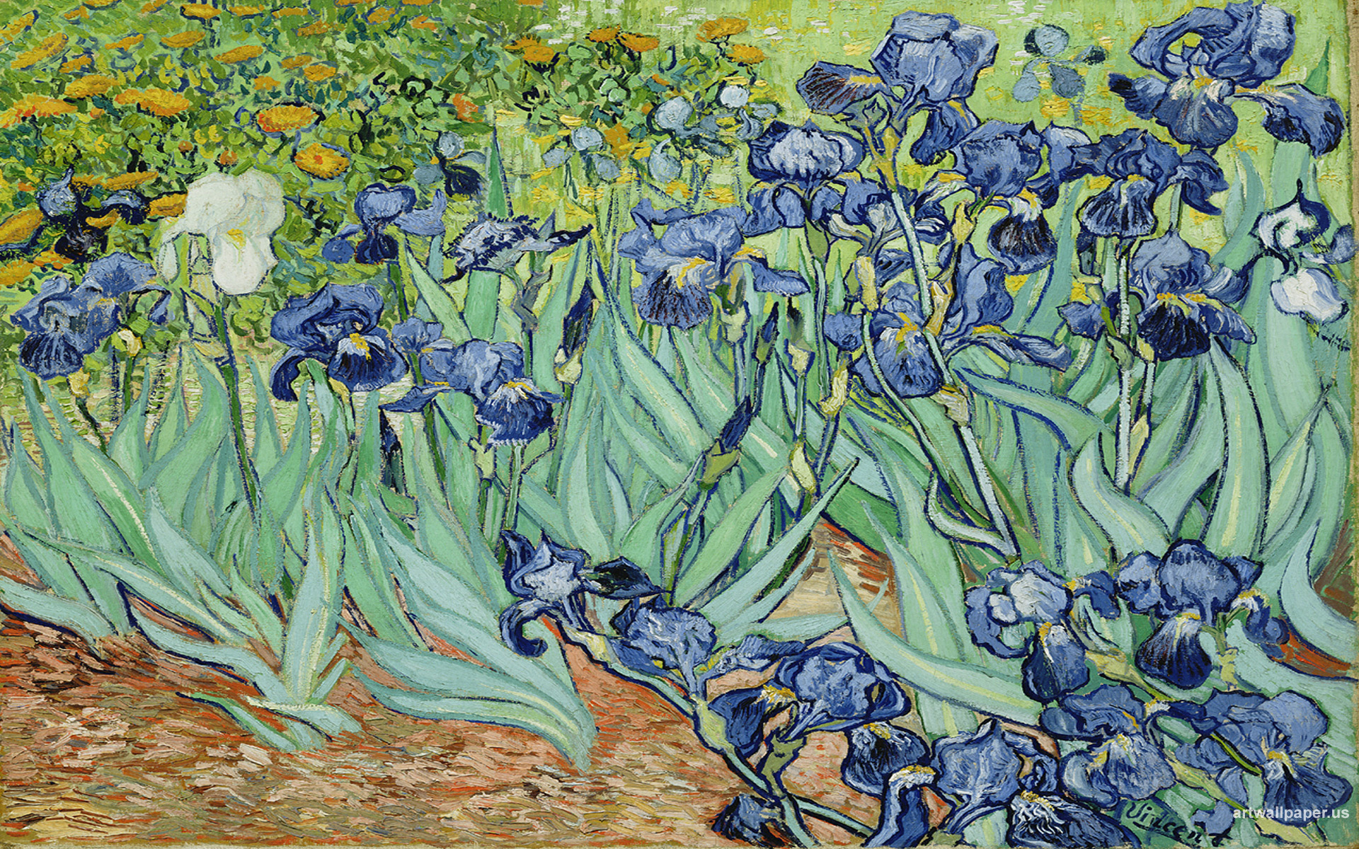 Of Vincent Van Gogh Flowers Wallpaper And Image