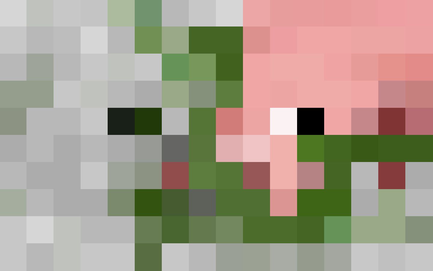 Minecraft Zombie Pigman Face With Image