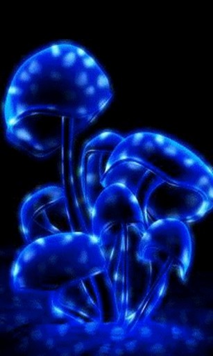 Bigger Glow Mushrooms Live Wallpaper For Android Screenshot